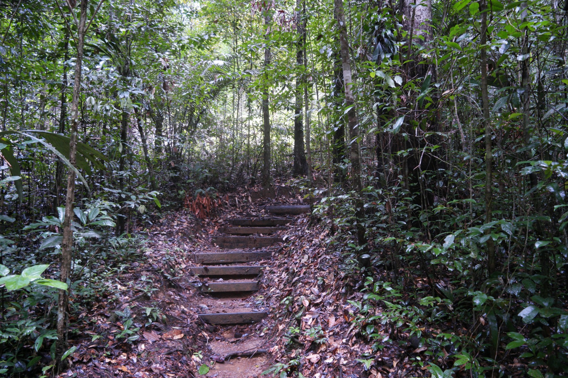 marker24465
