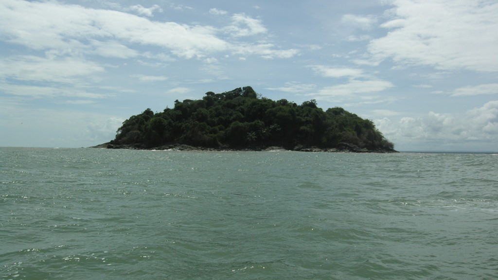 marker24468